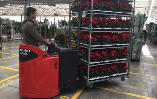 gruma dehner flowers forklift warehouse transport